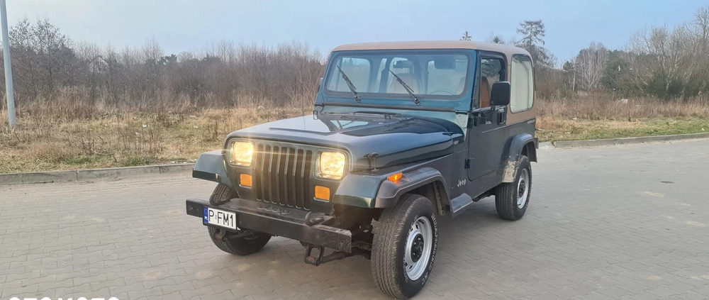 Jeep Wrangler cena 46000 przebieg: 123660, rok produkcji 1994 z Ruda Śląska małe 172